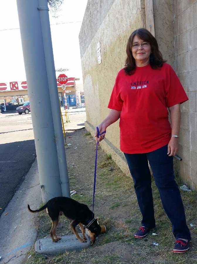 az small dog rescue phx 03 az small dog rescue phx 03