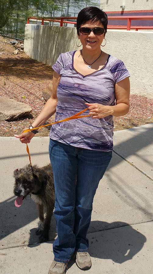 az small dog rescue 01 2 az small dog rescue 01 2