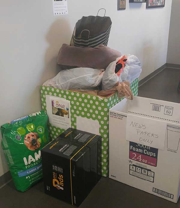 jw halo animail rescue donation 03 jw halo animail rescue donation 03